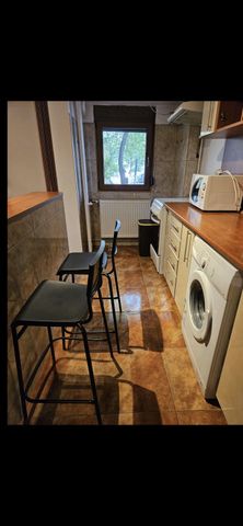 Timpuri noi panait cerna parter - Fotografie 4