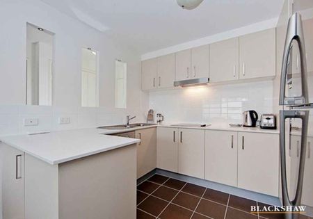 Modern Apartment in the Heart of Griffith! - Photo 5