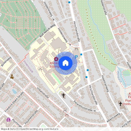 73730 Esslingen, (Oberesslingen), Baden-Württemberg