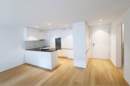 New, modern 2.5-room apartment, 6410 Goldau First rental - Foto 4