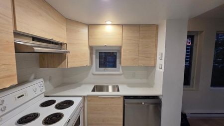 Appartement à louer - Montréal (Ville-Marie) (Centre Ouest) - Photo 5