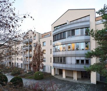 Im Sonnenpark - eine sonnige Angelegenheit! - Foto 6