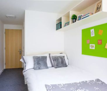 Premium Studio - Photo 5