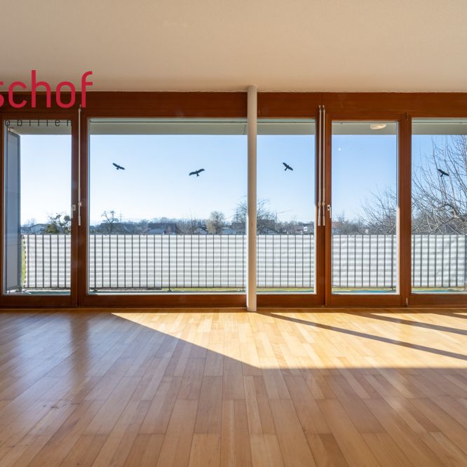 2-Zimmer-Wohnung mit Ausblick ins Grüne - Photo 1