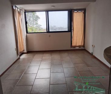 Rento Casa Fraccionamiento Lomas del Marques Querétaro, Qro - Photo 2
