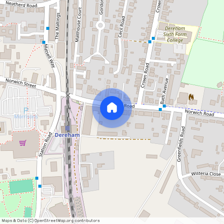 Norwich Road, NR20 3AE