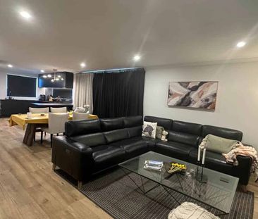 Pristine in Paerata - Photo 2