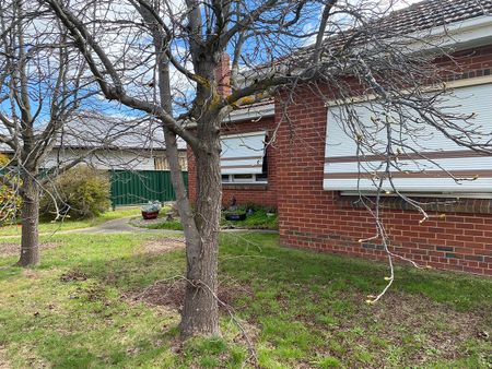 Castlemaine - Photo 5