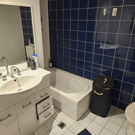 Surry Hills - Photo 3