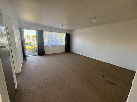 3/299 Ruahine Street, Terrace End, Palmerston North - Photo 1