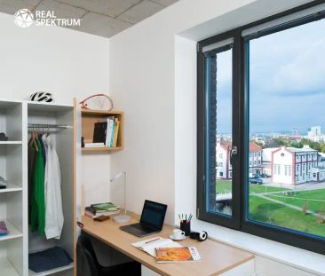 Pronájem moderního bytu 1+kk (Single) u Vaňkovky – BEZ PROVIZE! - Photo 2