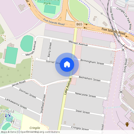 30 Lake Avenue, Cringila