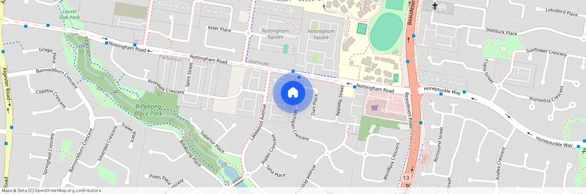 36 Michigan Crescent, Qld 4115, Parkinson