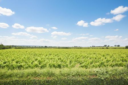 3 bedroom cottage to rent - Photo 5