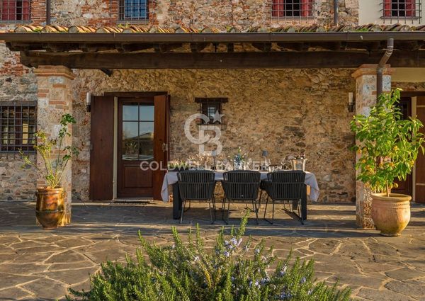 viale apua, Pietrasanta, Tuscany 55045