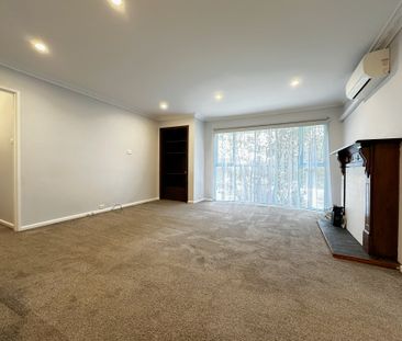 Neat & Tidy - Photo 2