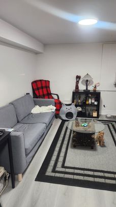 For Lease - 19 Rangoon Road Unit# Basement, Toronto, Ontario - Photo 1