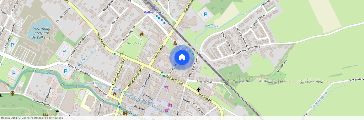 Henry Morgan straat 8 6301KW Valkenburg