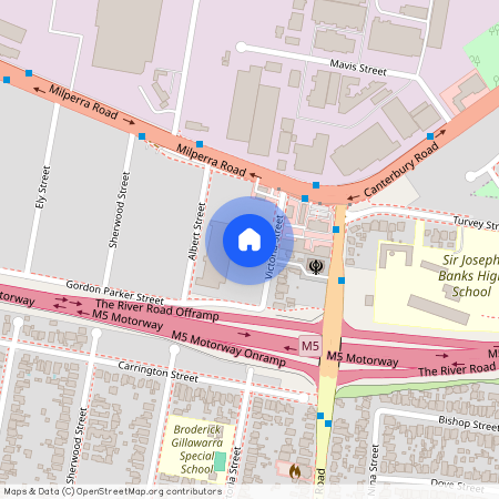 8A Victoria Street, NSW 2212, Revesby