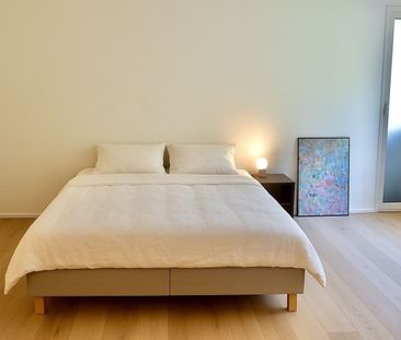 MAISON DE 4 PIÈCES À STALLIKON (ZH), MEUBLÉE, TEMPORAIRE - Photo 6