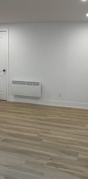 3 1/2 complètement neuf - Photo 1