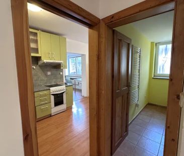Pronájem prostorného bytu 2+1 v klidné části obce Kralice nad Oslav... - Photo 6