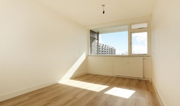 Nieuwendamlaan 0ong, 2547 Den Haag, Nederland - Foto 1