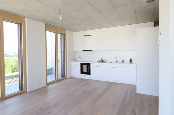 Moderne 2,5 Zimmerwohnung zu vermieten - Photo 1