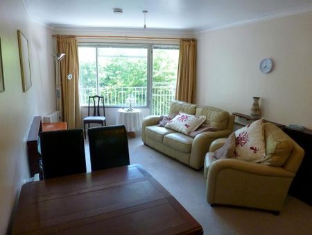 1 bedroom flat to rent - Photo 4
