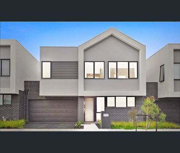 2 Jeanette Street, Clayton South, Vic 3169 - Photo 4