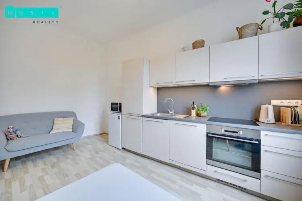 Pronájem prostorného cihlového bytu 1+1 s šatnou | Rooseveltova, Olomouc - Photo 1