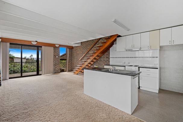 1/2 Davey Place South Hobart TAS 7004 Australia - Photo 1