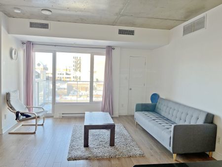 1150 Rue St Denis, Montréal (Ville-Marie), QC H2X - Photo 5