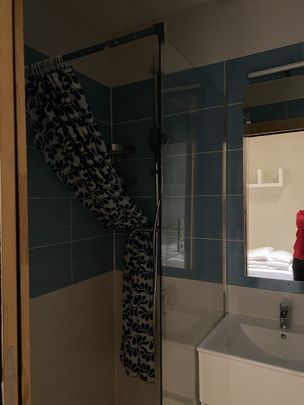 Location Appartement 1 pièce 15m² BORDEAUX 33800 - Photo 1