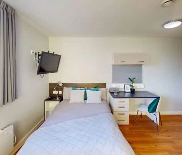 Deluxe Studio - Photo 2