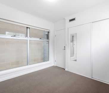 3 bedroom townhouse in the CBD! - Photo 2