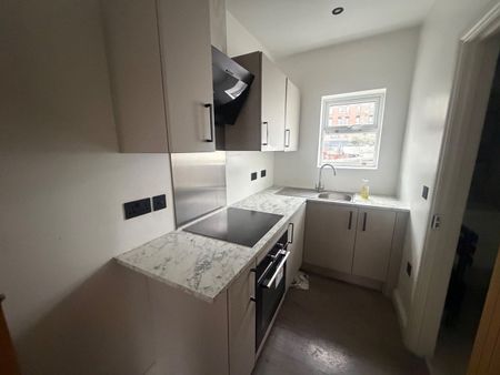 Studio Flat, Norwood Road, SE27 - Photo 4