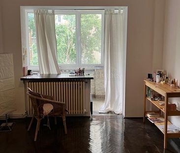 Three Bedroom Flat with Fireplace and Peaceful View - Cismigiu Park - Photo 1