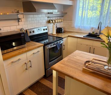 For Lease - 345 NAPIER Street, Collingwood, Ontario - Photo 6