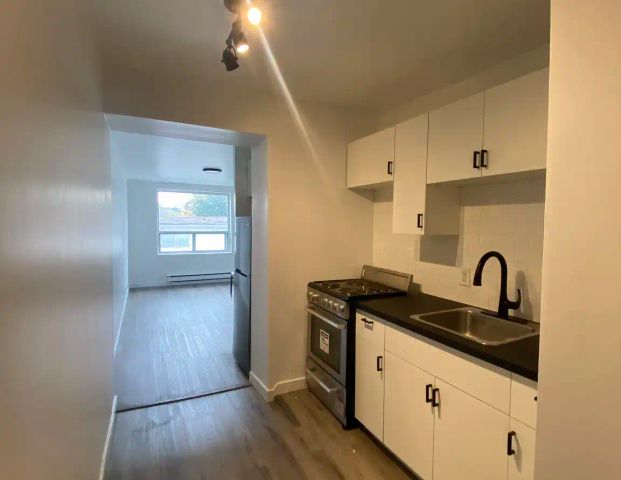 229 Carlton Street — Junior 1 Bedroom - Photo 1