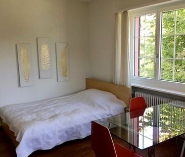 1-ROOM APARTMENT IN LIESTAL (BL), FURNISHED - Photo 4