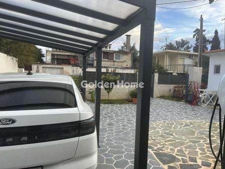 Μονοκατοικία για ενοικίαση Βραυρώνα (Αρτέμιδα (Λούτσα)) - Φωτογραφία 3