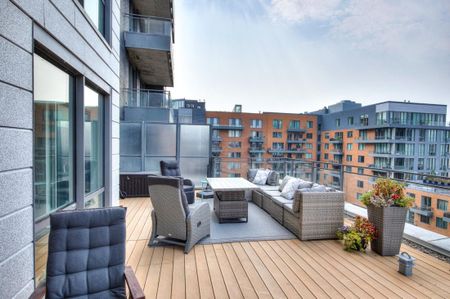 Appartement à louer - Montréal (Ville-Marie) (Vieux-Montréal) - Photo 2