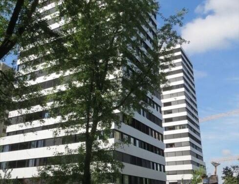 They aim high - Photo 1