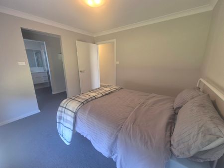 Beautiful Basil - Photo 4