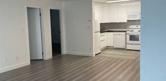 Large Renovated 2 Bedroom in Great location - Photo 2