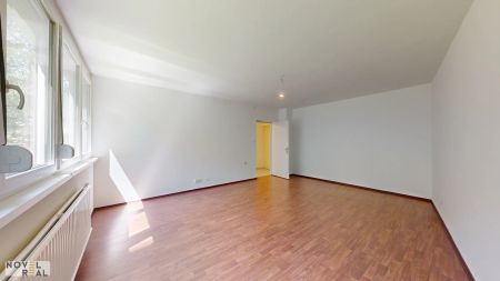 NÄHE HOHE WARTE - HELLE UND RUHIGE WOHNUNG MIT GARTENNUTZUNG - Foto 5