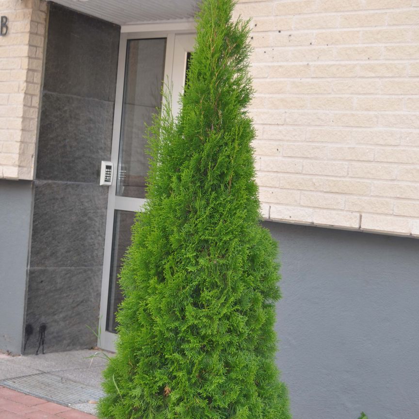 Engelbrektsgatan 13 A - Foto 1