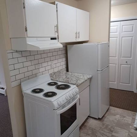 Newly Renovated 1 Bedroom Available Now at Delta West! - Photo 4