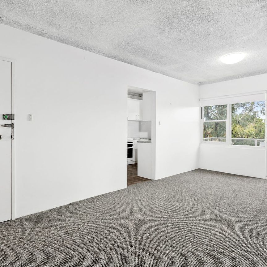 Sun filled apartment in the heart of Cronulla - Photo 1